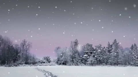Snowfall Stock Footage 197344236