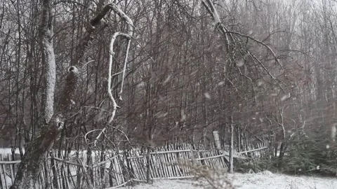 Snowfall Stock Footage 246997414