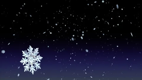 Snowfall Stock Footage 255521446