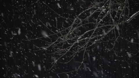Snowfall Video stock 256792372