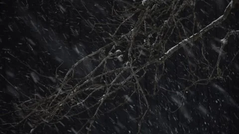 Snowfall Video stock 256792391