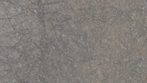 Snowfall 動画素材 298038762