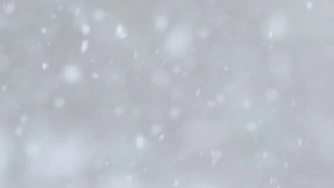 Snowfall Stock Footage 303657845
