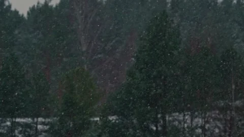Snowfall Stock Footage 303657935