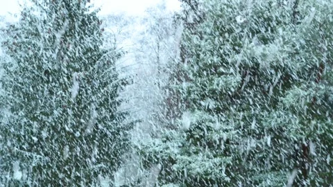 Snowfall. Stock Footage 340458993