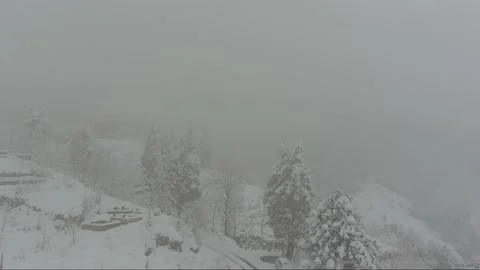 Snowfall in the forest, aero view Stock Footage 161337601