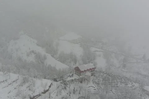 Snowfall in the forest, aero view Stock Photos