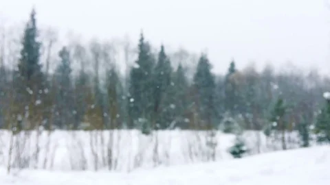 Snowfall in forest on defocused background Stock Footage 74331708