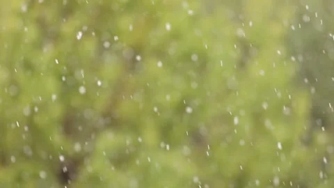 Snowfall in the forest. First snow Stock-Footage 142189240
