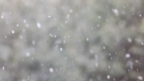 Snowfall in the forest. First snow Stock Footage