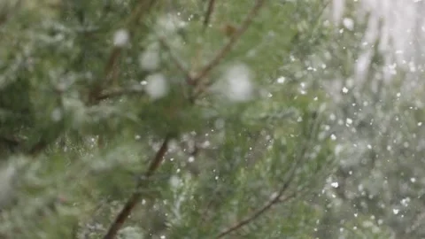 Snowfall in the forest. First snow Stock-Footage 142189330