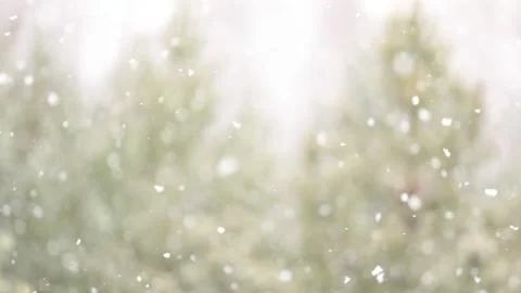 Snowfall in the forest. First snow Stock-Footage 142189432