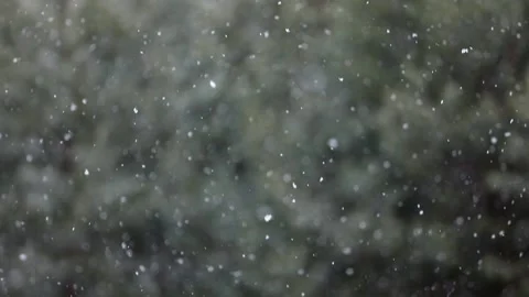 Snowfall in the forest. First snow Stock-Footage 142189520