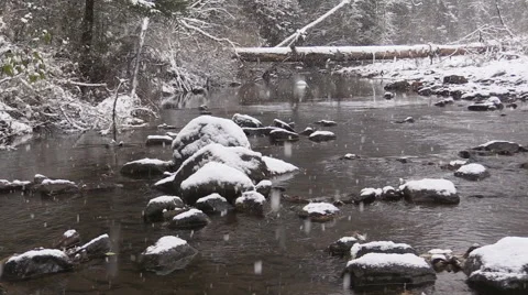 Snowfall in the forest Stock Footage 69244756