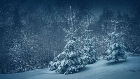 Snowfall in the forest Video stock 145791382