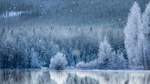 Snowfall in frozen landscape Stock Footage 197343618