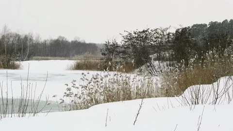Snowfall on frozen river Stock Footage 122999966