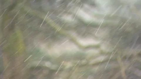 Snowfall - fullscreen. Tree branch in background Stock Footage 33641586