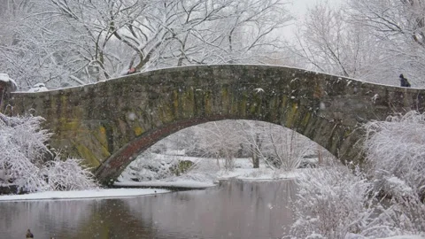 Snowfall at Gapstow Bridge in Central Park, New York City, with snow-covered tre Vídeos de archivo 309303658