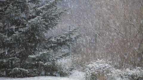 Snowfall in Garden Stock Footage 33230402