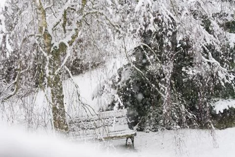 Snowfall in a garden Stock Photos