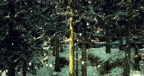 Snowfall gently covers a serene forest landscape during winter season Vídeos de archivo 314227372