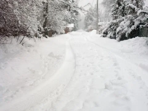 Snowfall Goes On Stockfoto's