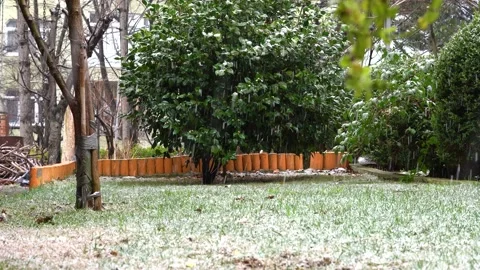 Snowfall on the grass (with sound) Stock Footage 235085676