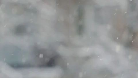 Snowfall on gray blurred background Stock Footage 116248826