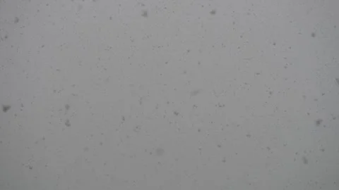 Snowfall on a gray sky Stock Footage 168731211