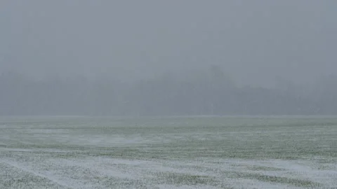 Snowfall on green fields in front of a forest Stock Footage 166095110