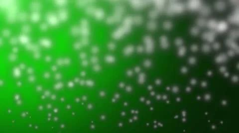 Snowfall Green Stock Footage 8973529