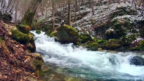 Snowfall on a Green Mountain River Stock Footage 325329164