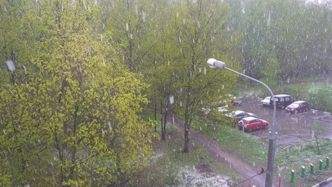 Snowfall in the green spring forest in Moscow Stock Footage 75586663