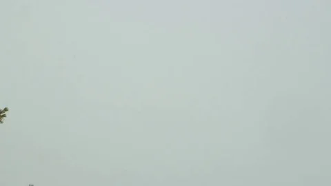 Snowfall, Heavy Winter Snow Stock-Footage 70736287