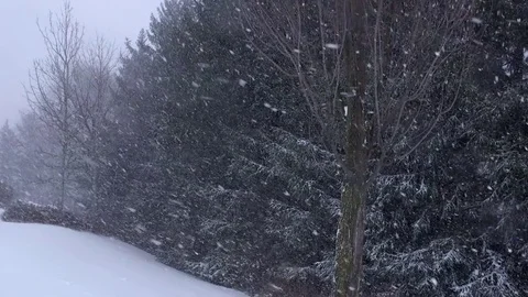 Snowfall, Heavy Winter Snow Video stock 70736557