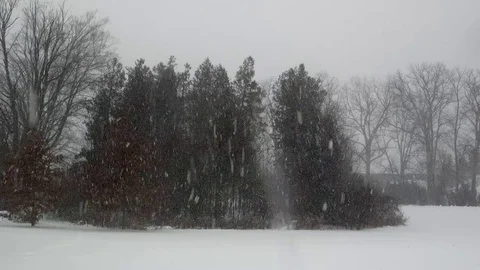 Snowfall, Heavy Winter Snow Stock-Footage 70736644