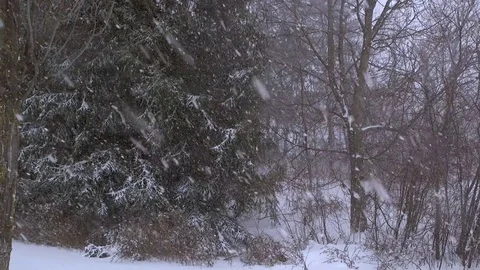Snowfall, Heavy Winter Snow Stock-Footage 70736771