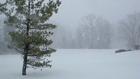 Snowfall, Heavy Winter Snow Stock-Footage 70737765