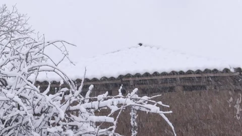 Snowfall image close-up Stock Footage 166870889