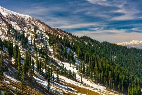 Snowfall in kashmir Stock-Fotos