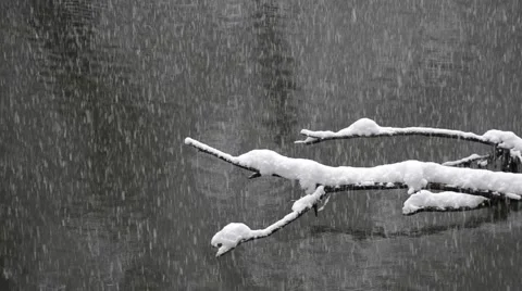 Snowfall on a lake Stock Footage 49997465