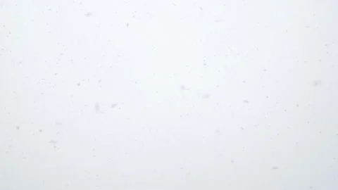 Snowfall with large snow flakes. Stock Footage 143661984
