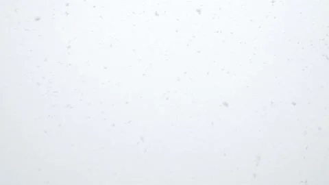 Snowfall with large snow flakes winter background. Stock Footage 143772709