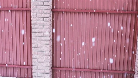 Snowfall, large snowflakes fall on the background of the forest in the village Video stock 170846785