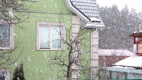 Snowfall, large snowflakes fall on the background of the forest in the village Stock Footage 170846874