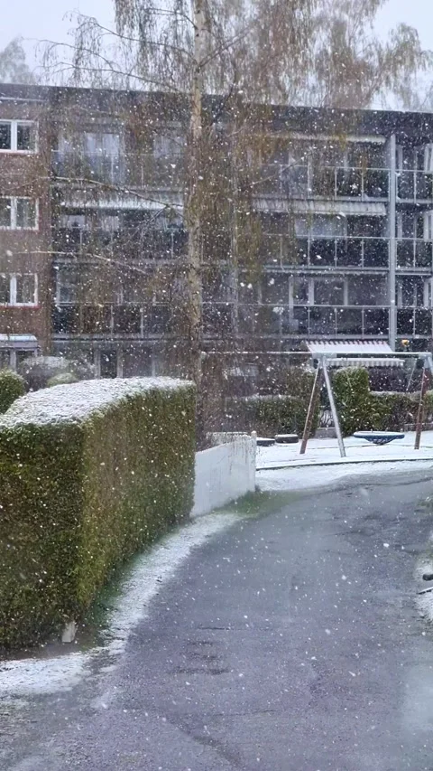 Snowfall in late apil, in southern Norway Stock Footage 239420341