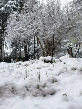 Snowfall making the bottom angle Stock Photos