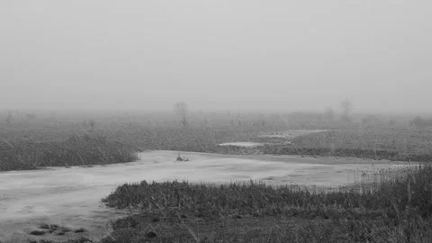 Snowfall in March Video stock 150704984