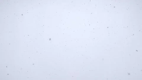 Snowfall in middle of the day. Snowflakes fall in flakes against the white sky. Stock Footage 262577502